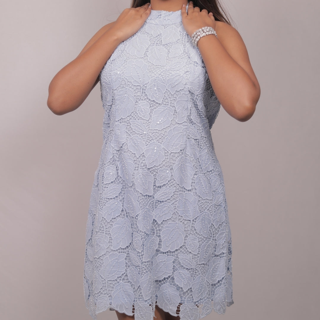 FROST LACE BODYCON DRESS